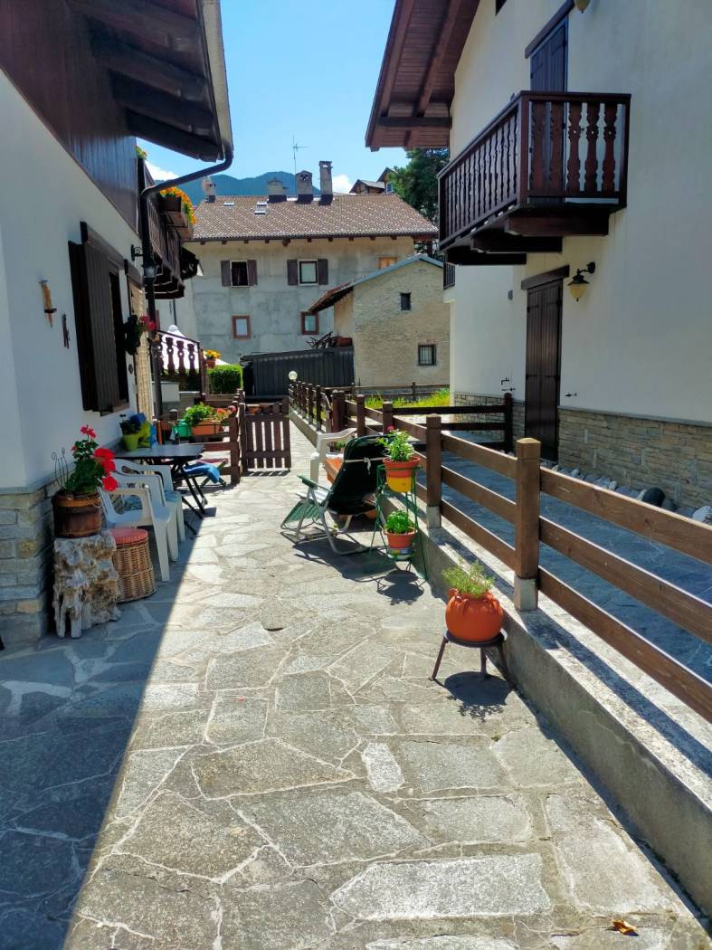 Ingresso