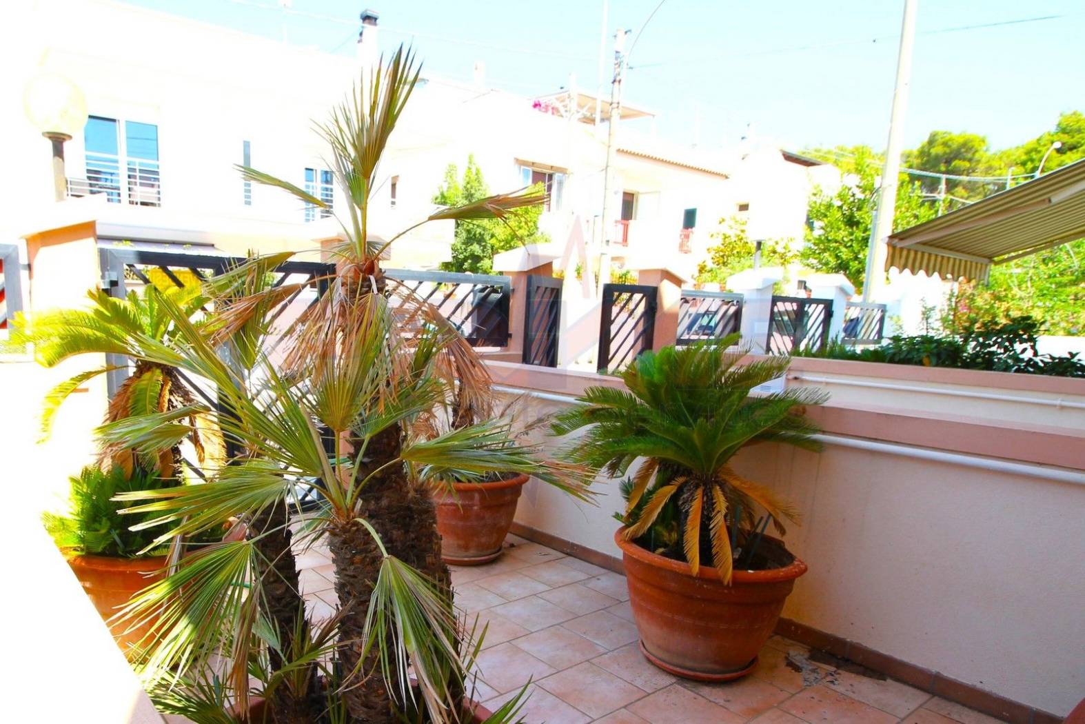 Patio esterno Patio esterno