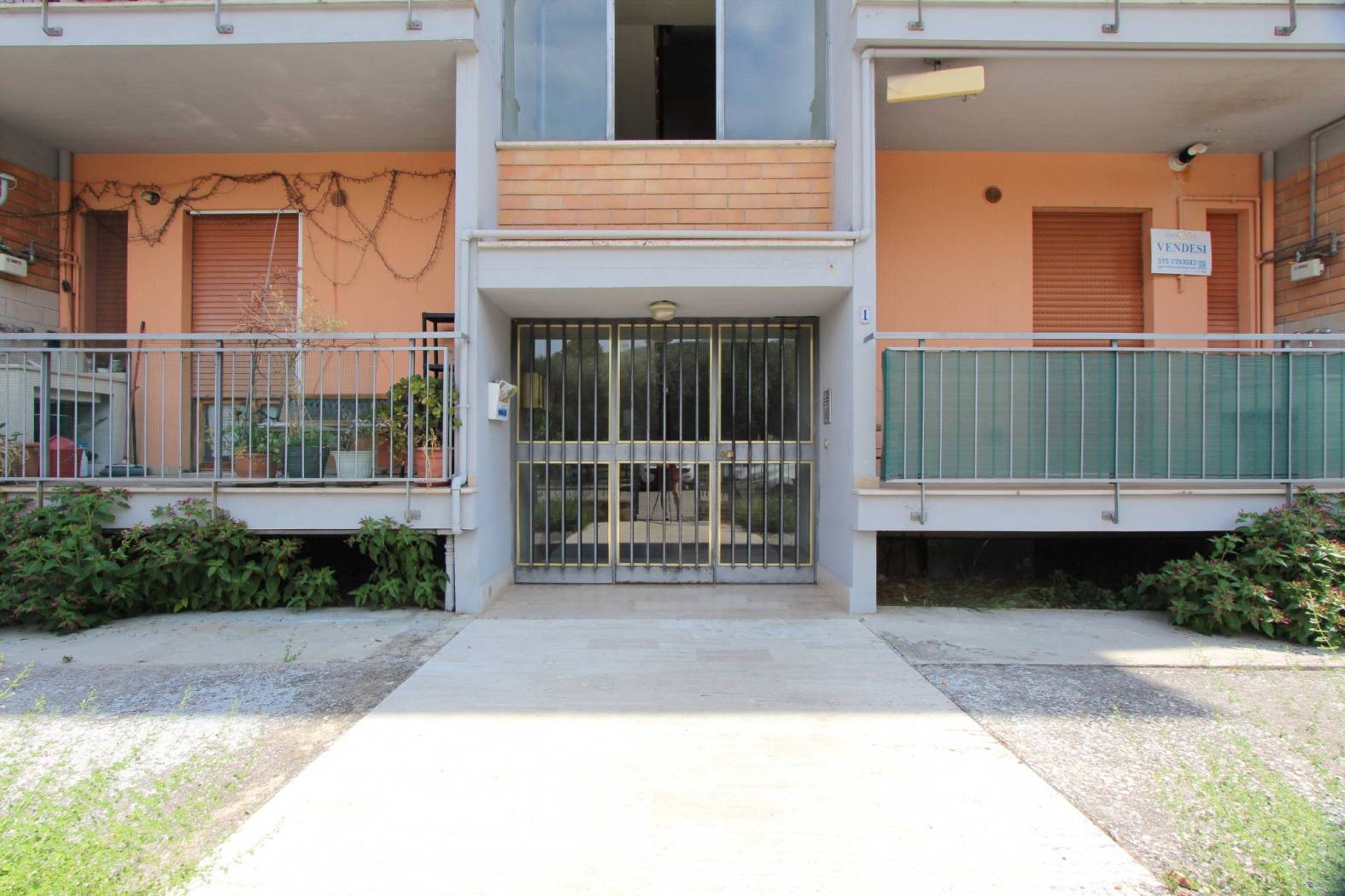 Ingresso