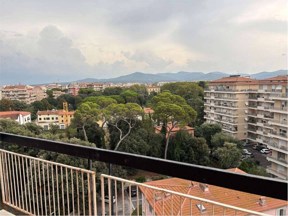 Vista