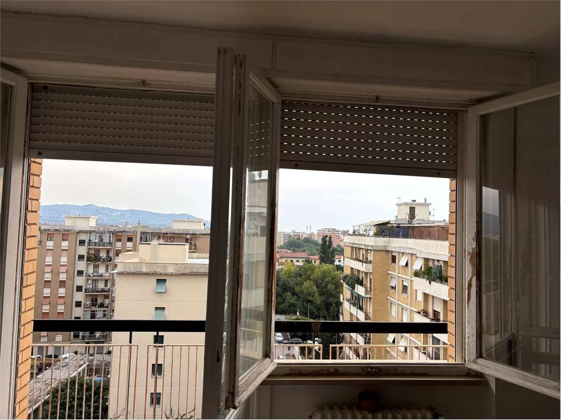 Vista
