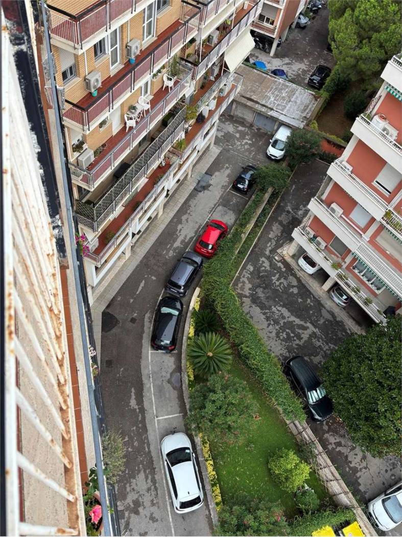 Vista