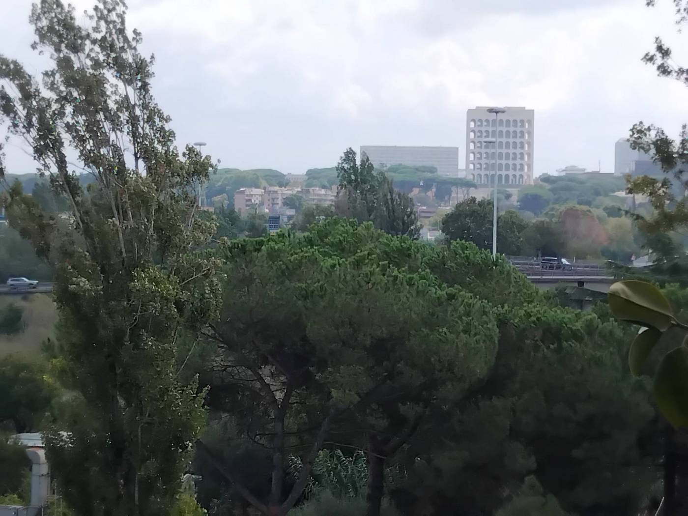 Vista