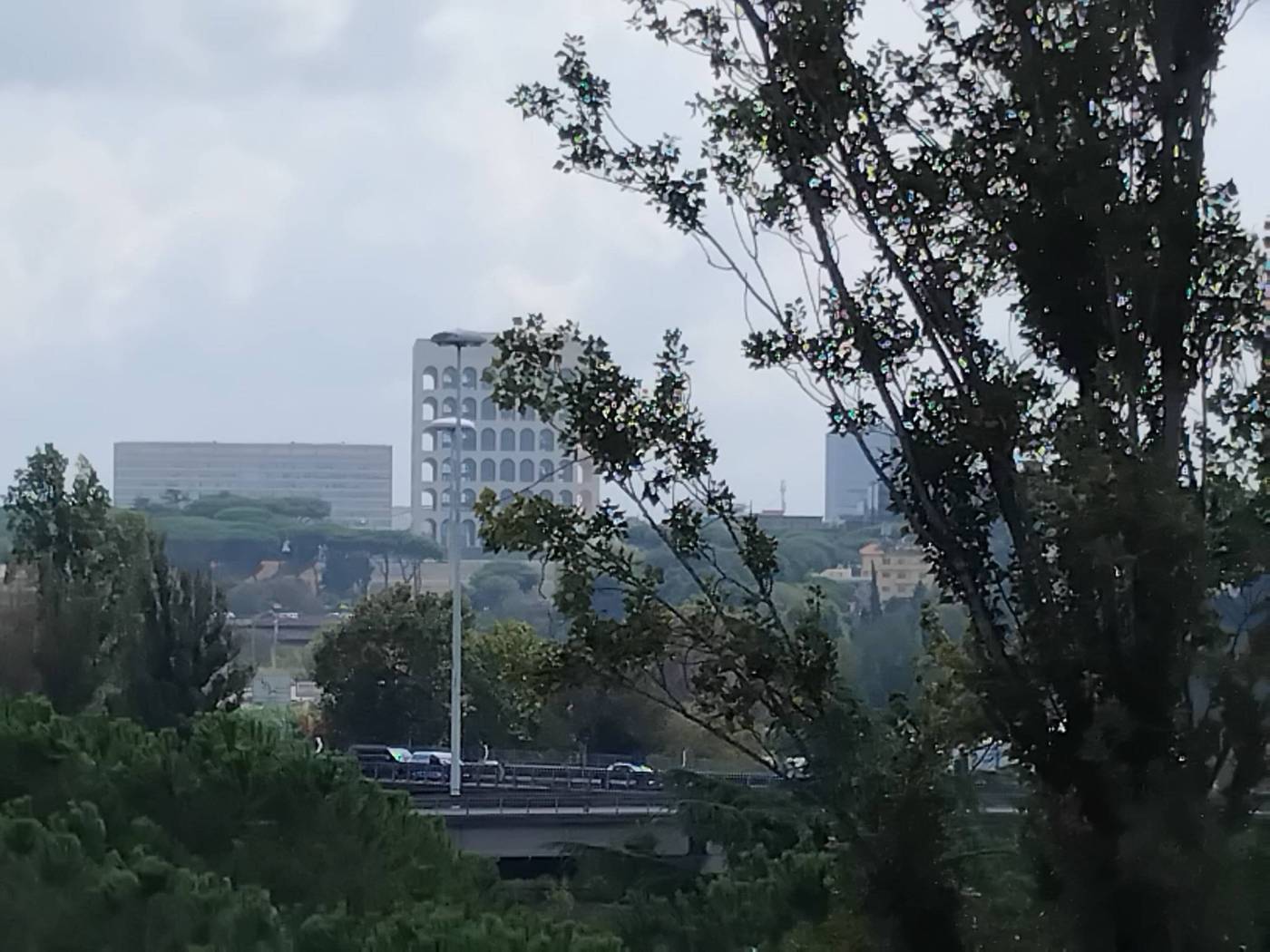 Vista