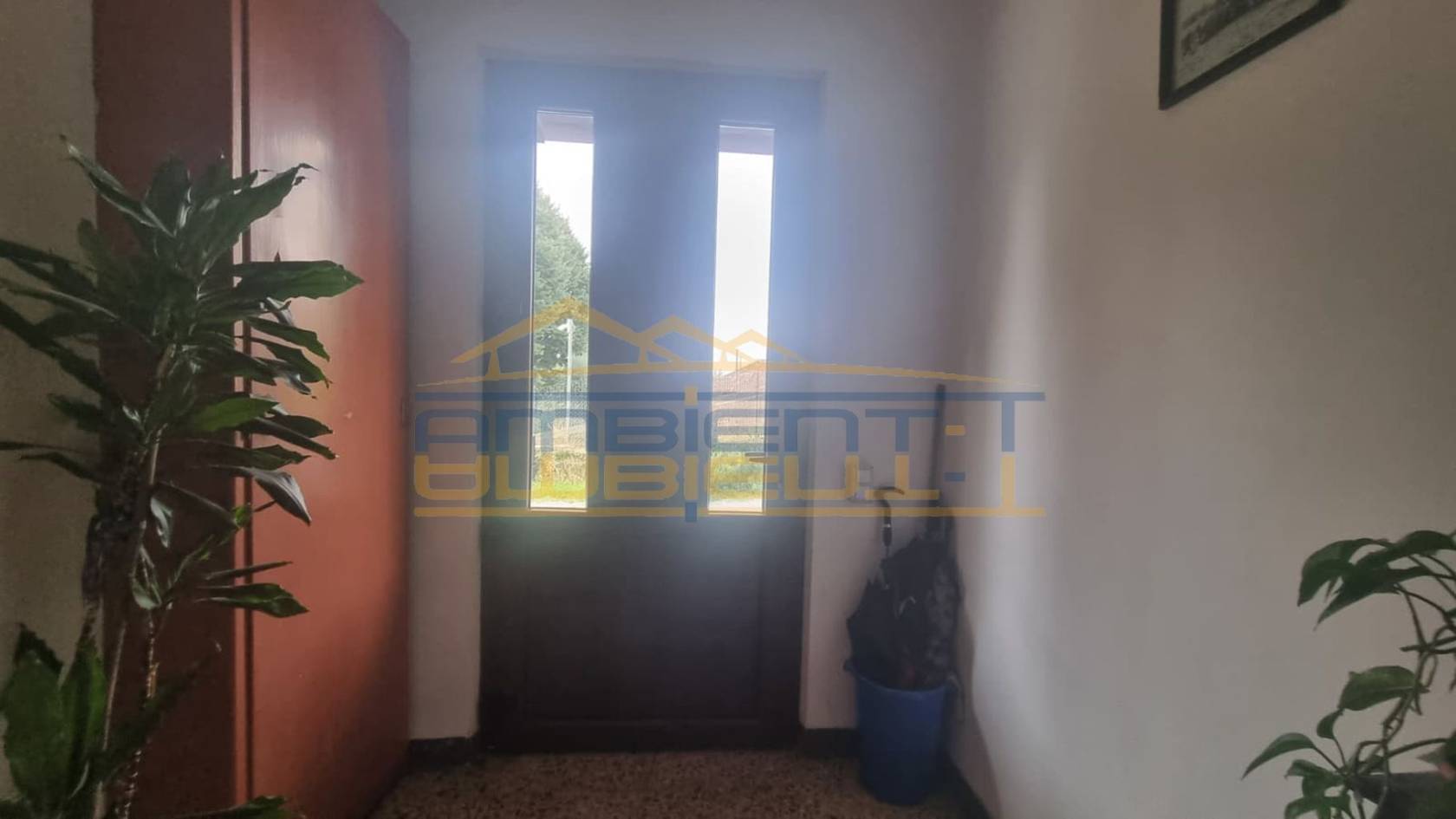Ingresso