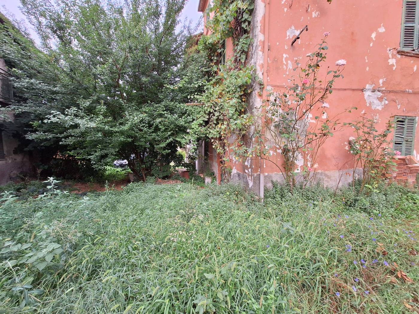 Giardino
