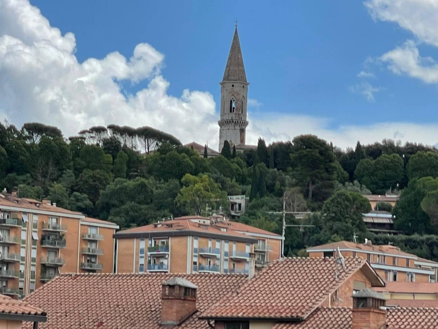 Vista