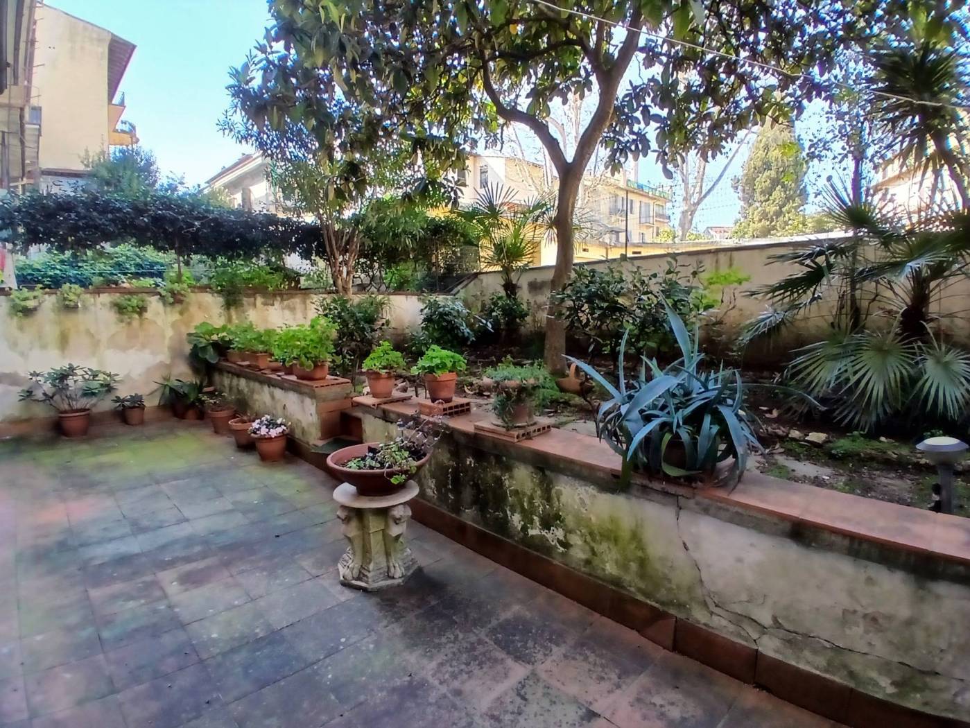 Giardino