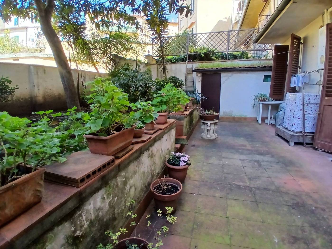 Giardino