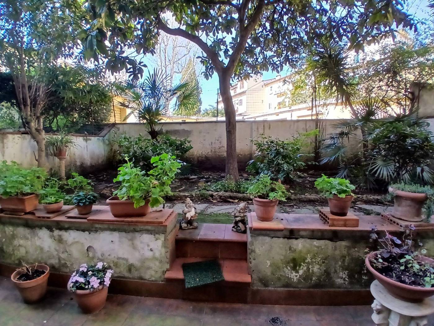 Giardino