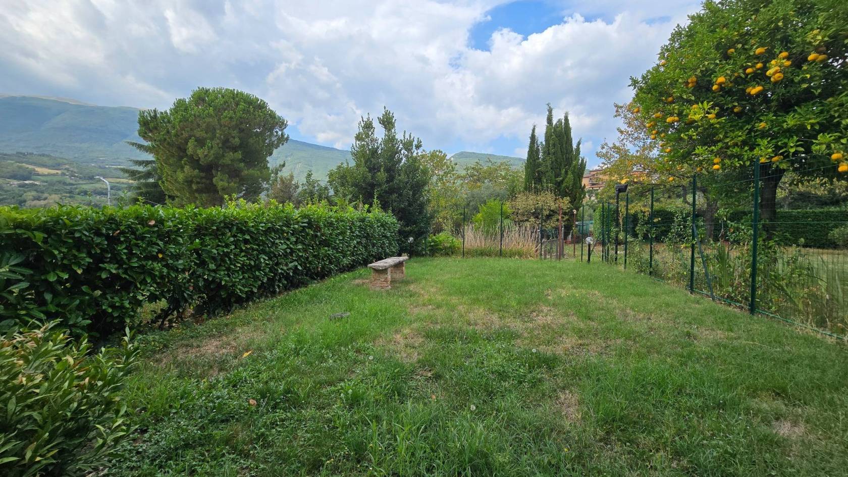 Giardino