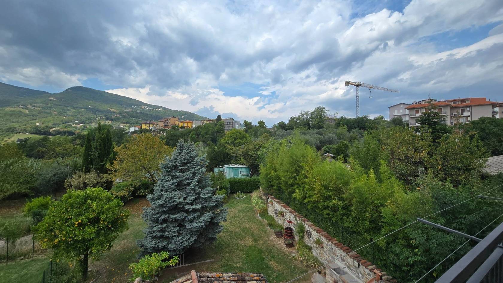 Vista