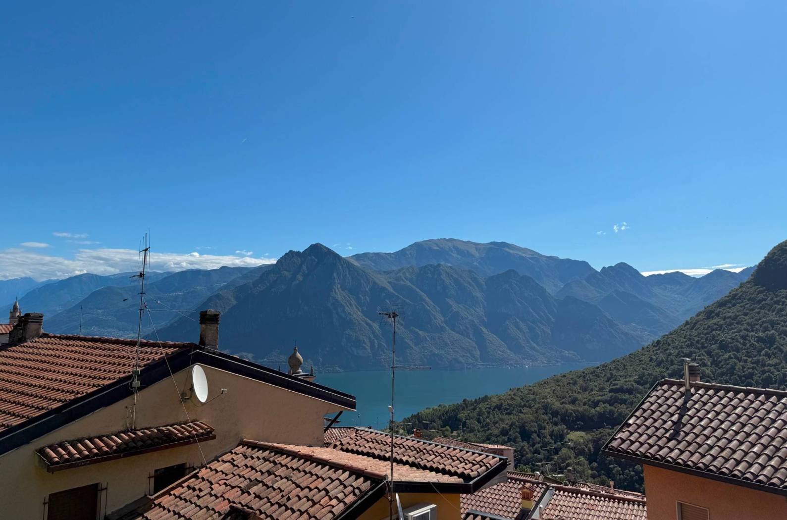 Vista