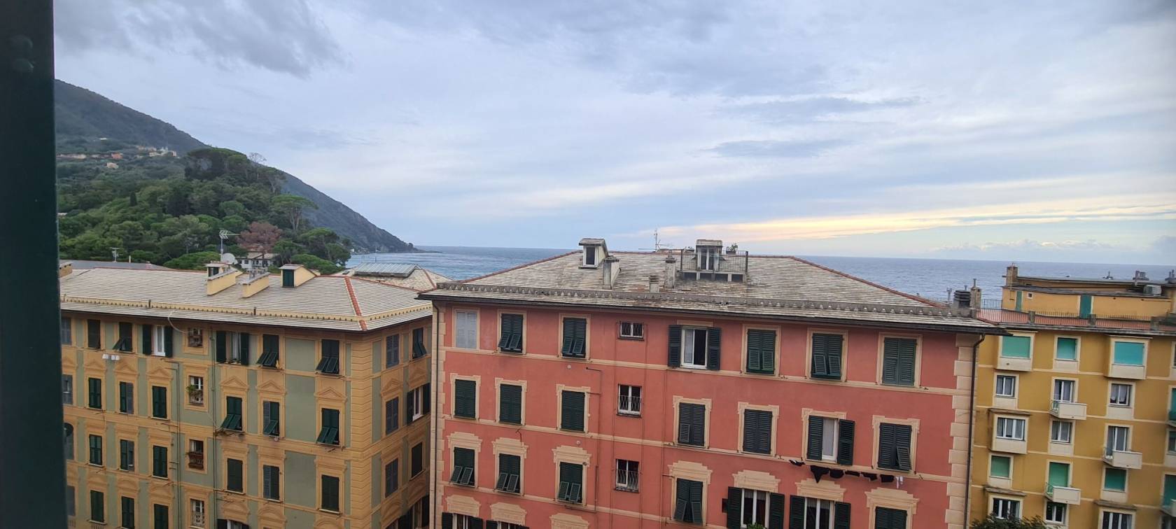 Vista