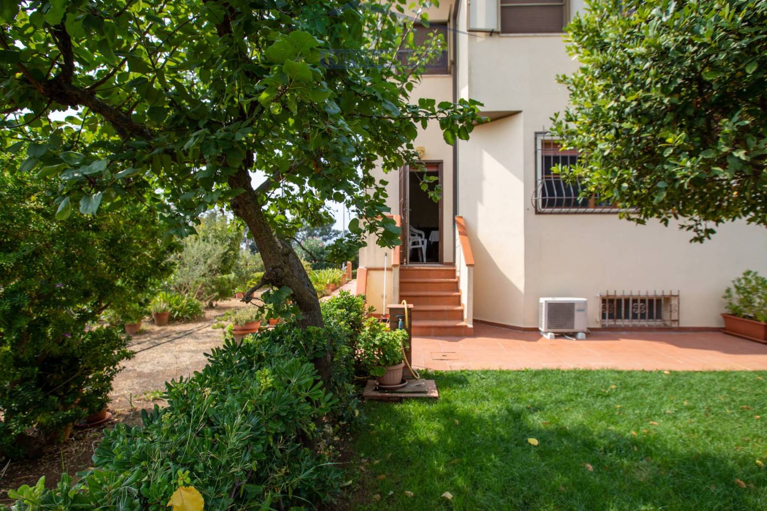 Giardino