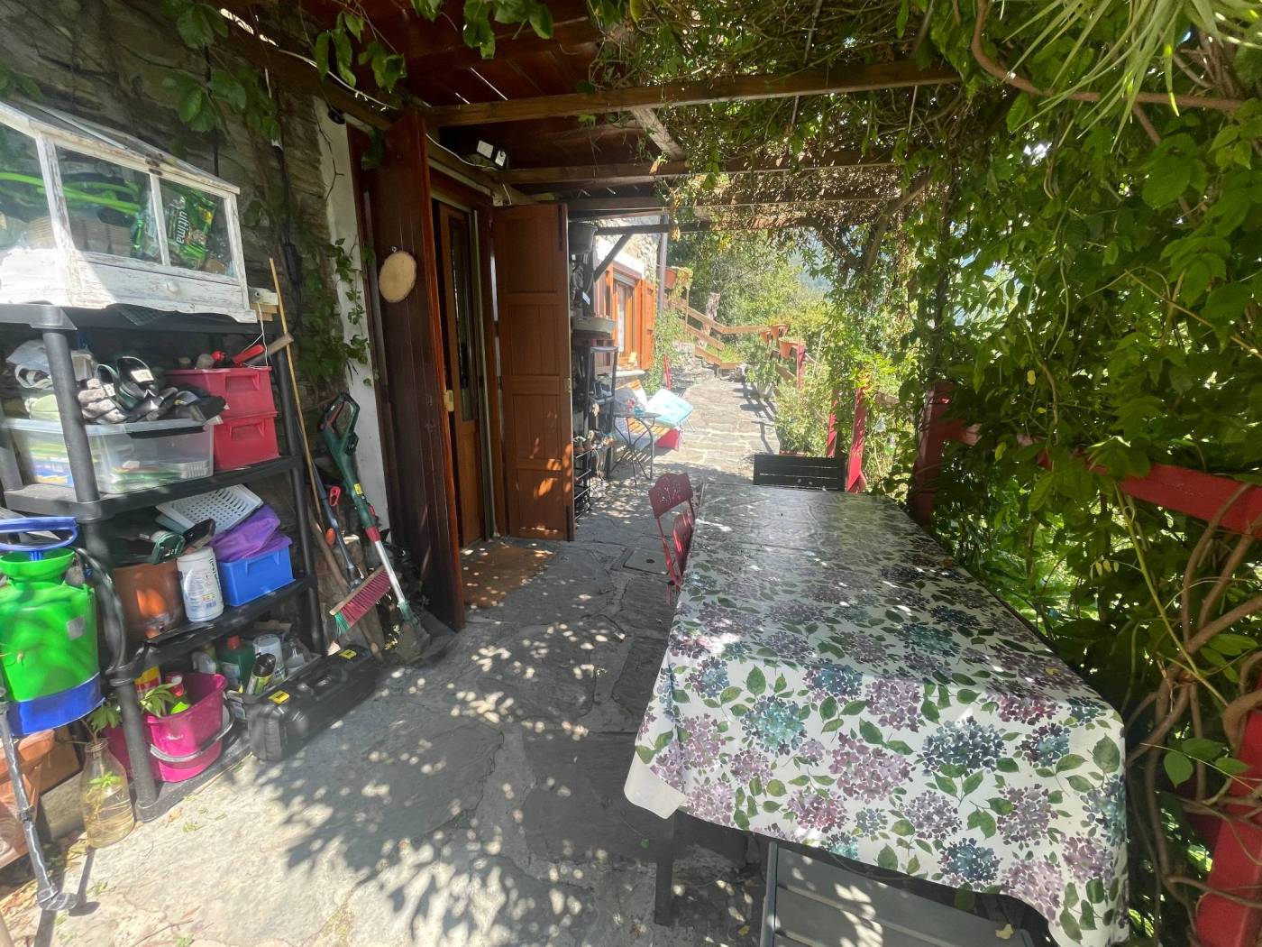 Giardino
