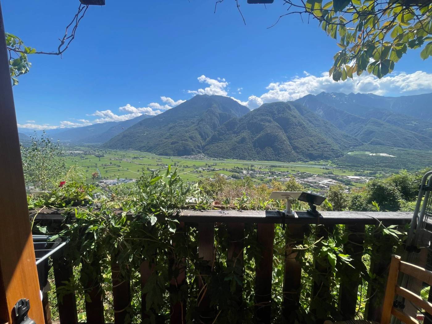 Vista