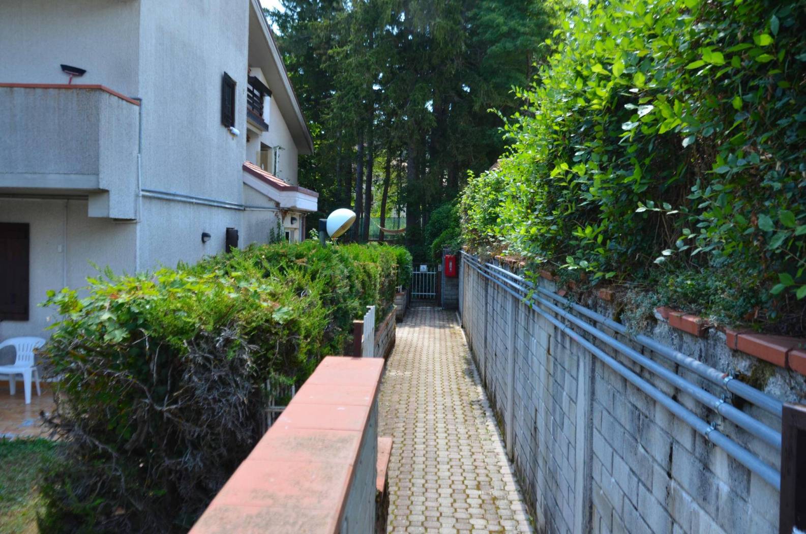Ingresso