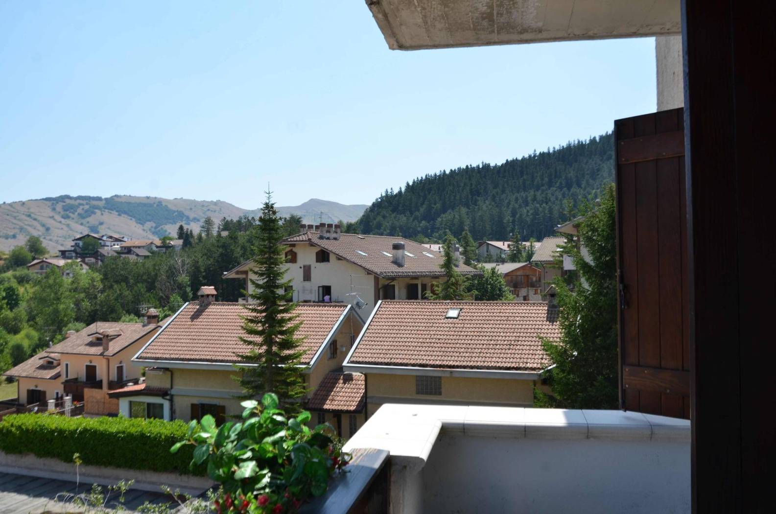 Vista