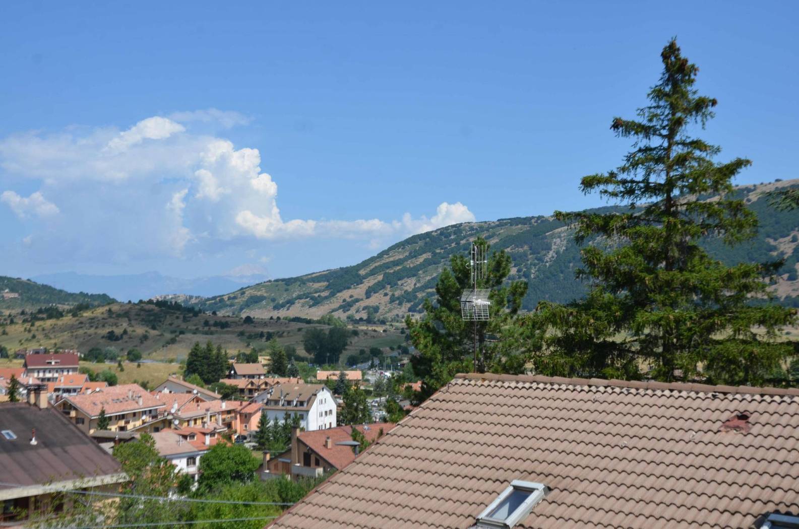 Vista