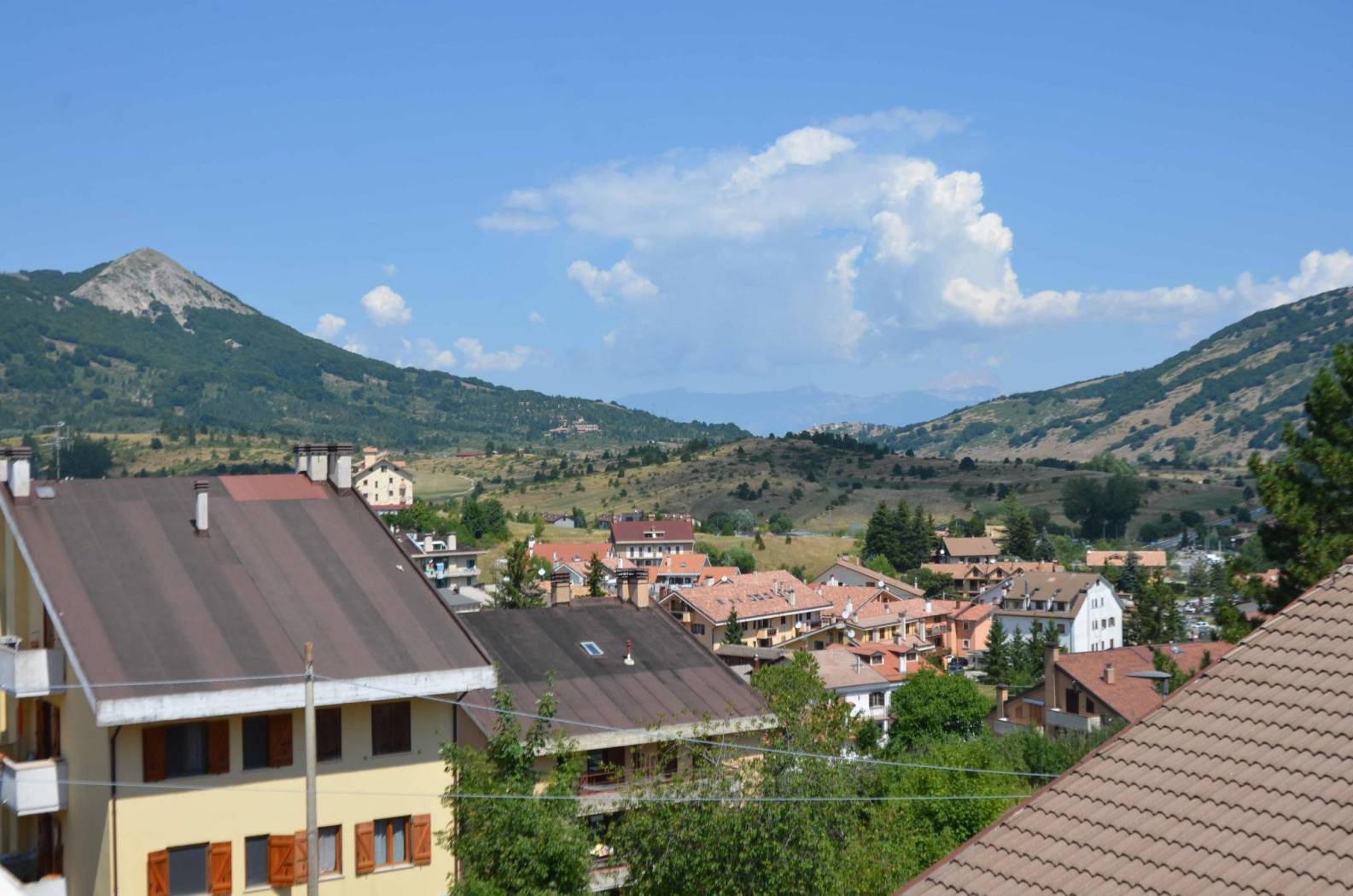 Vista
