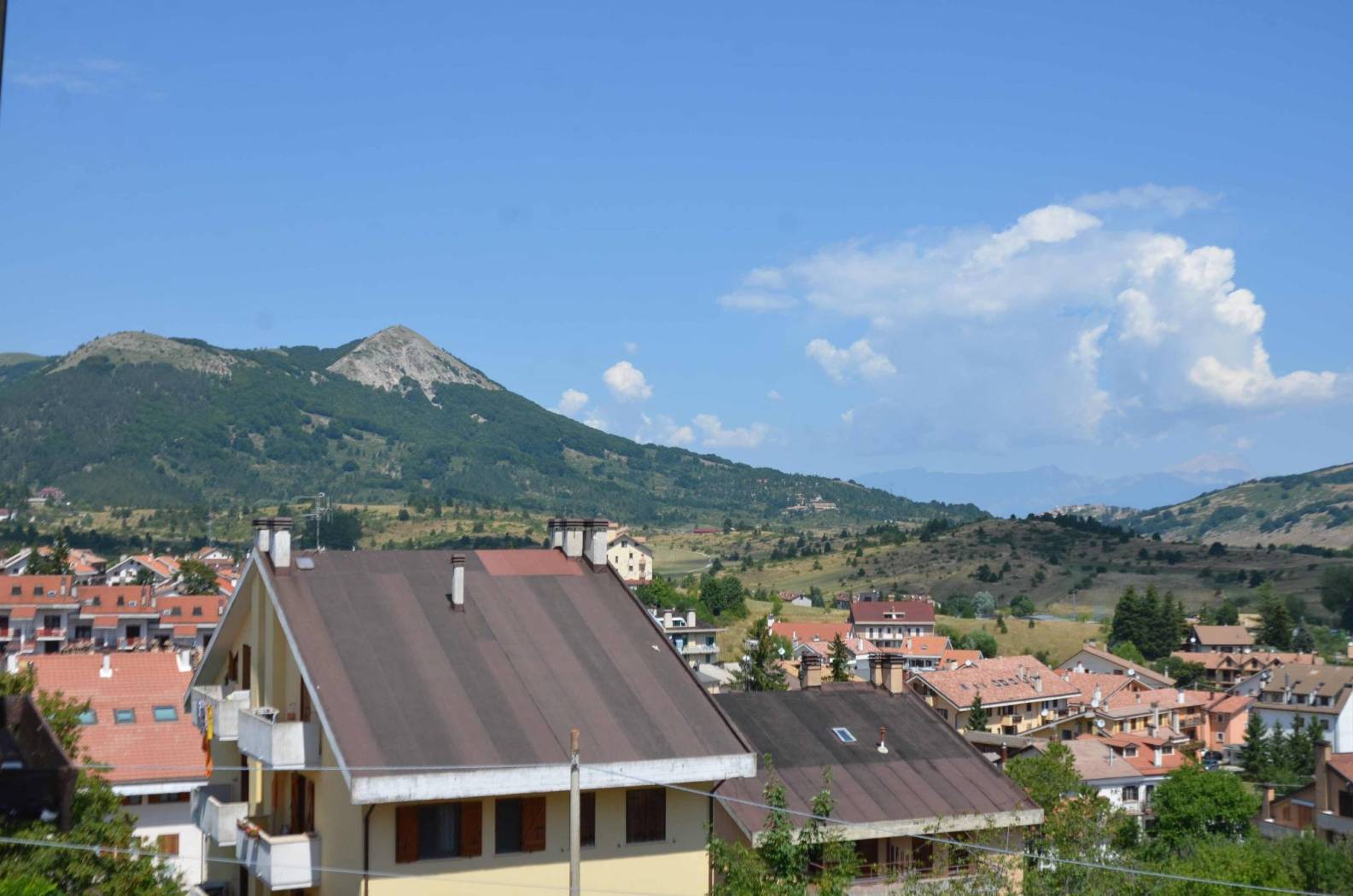 Vista