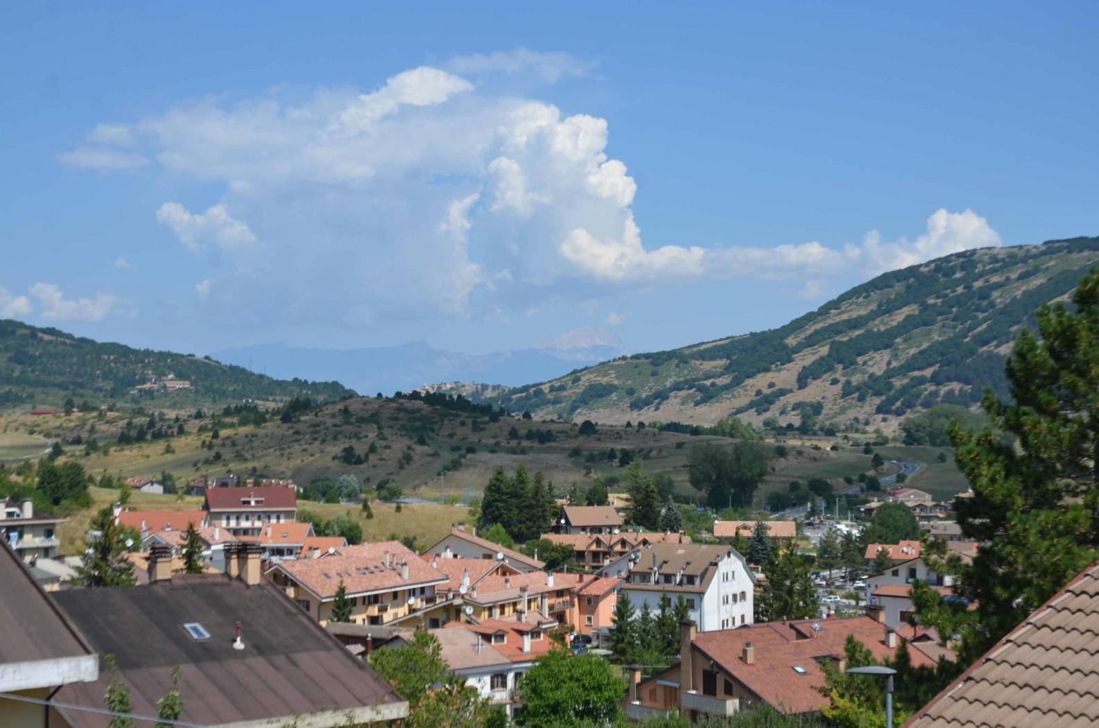 Vista