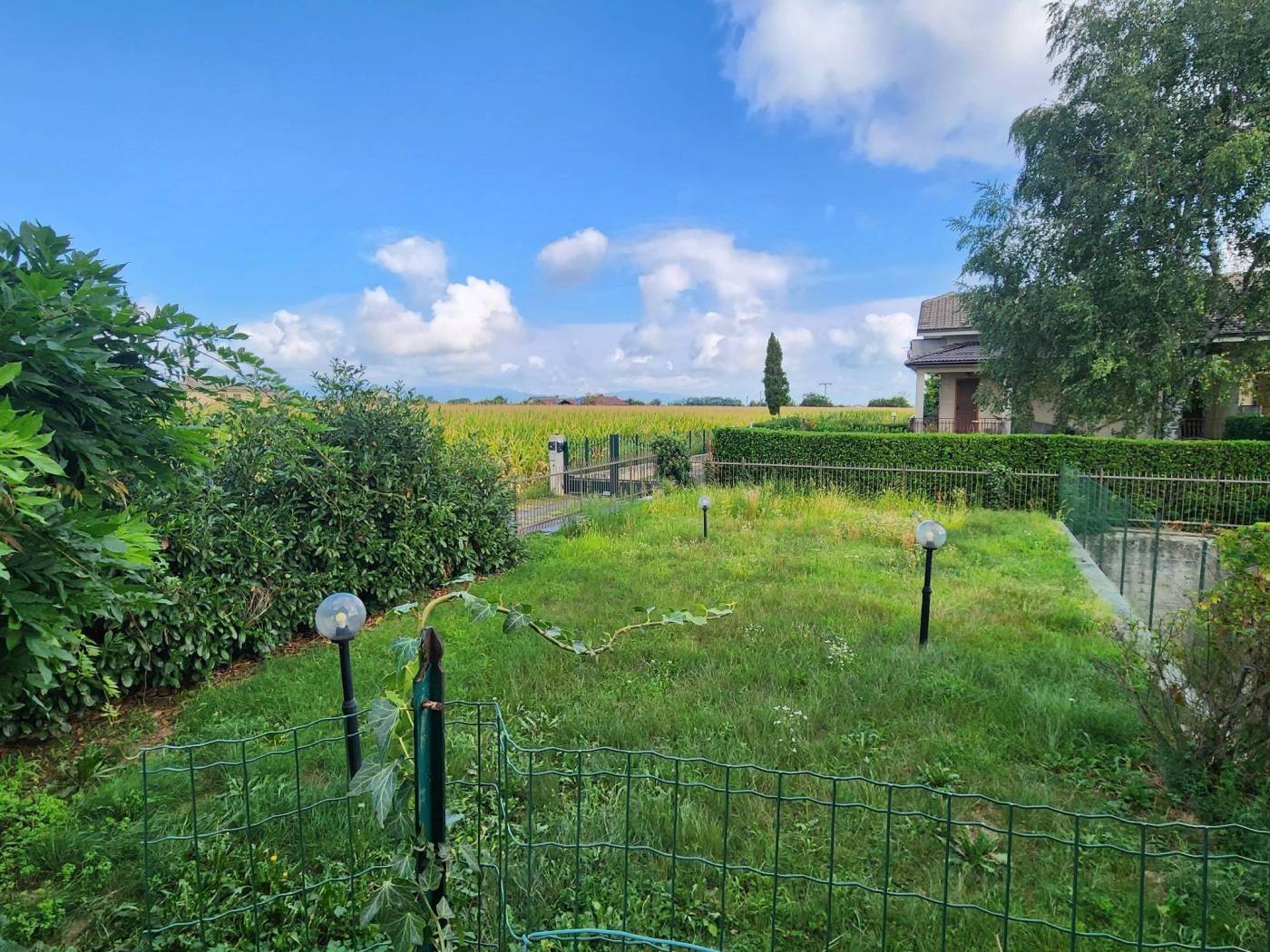Giardino