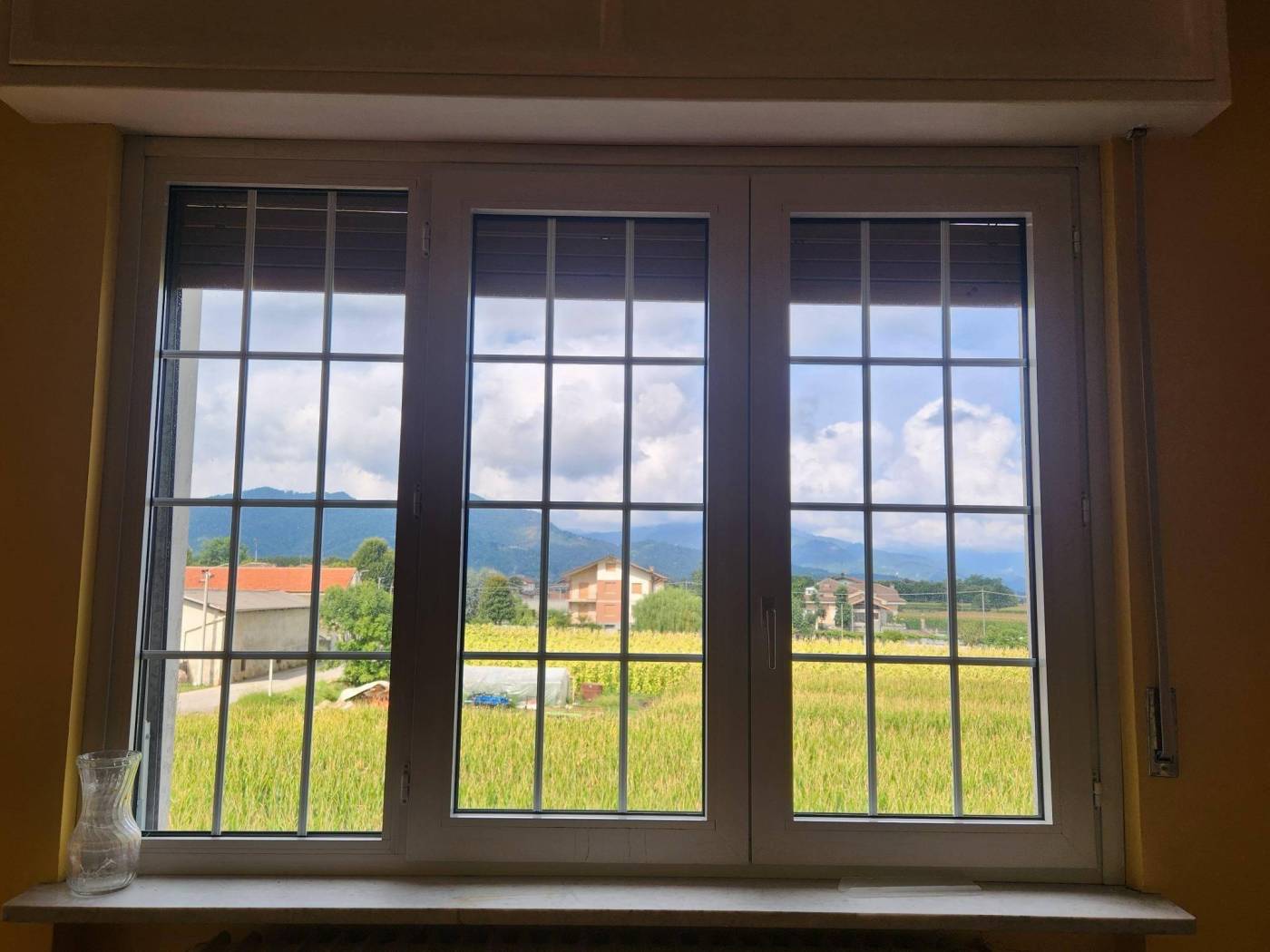 Vista