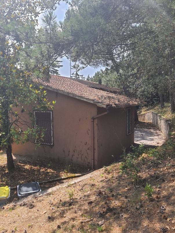Terreno