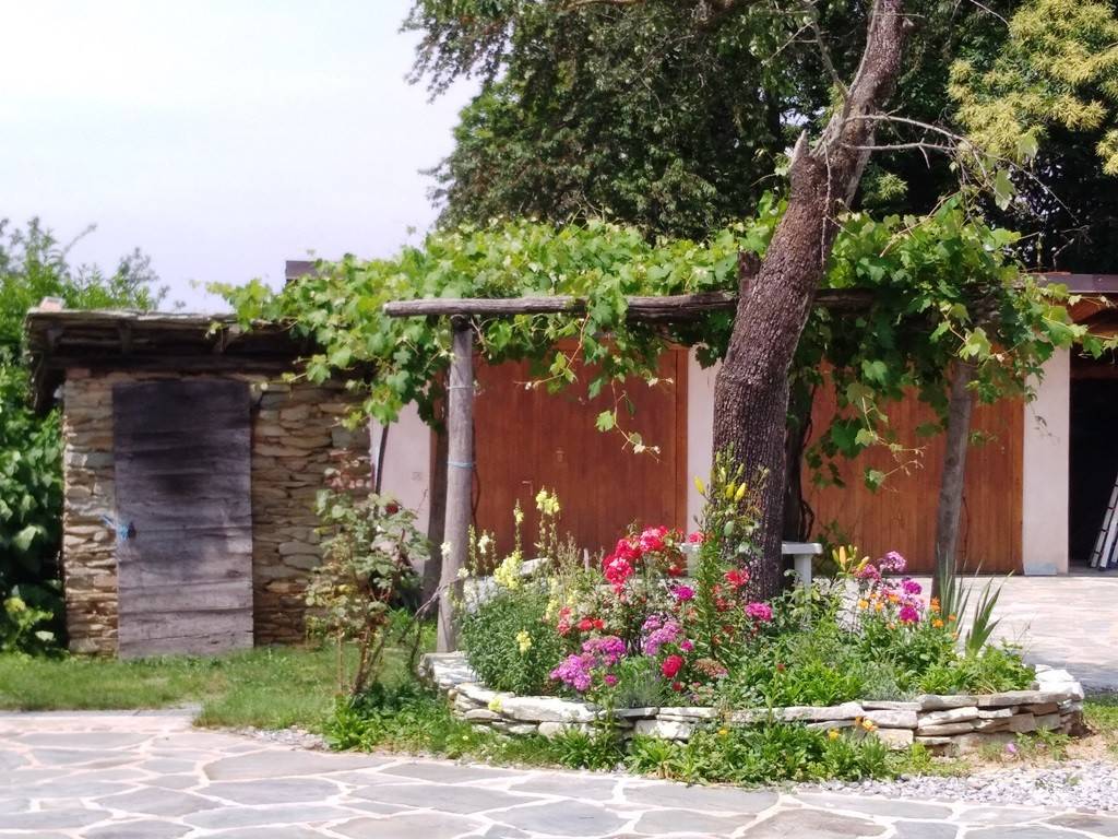 Giardino
