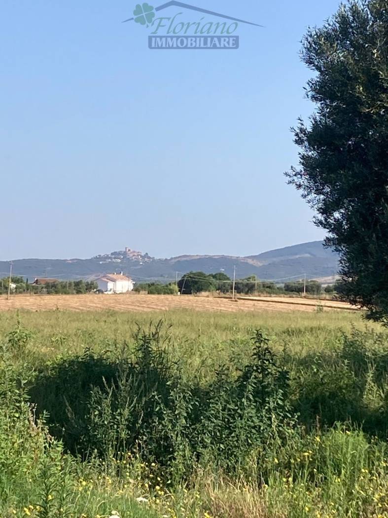 Terreno