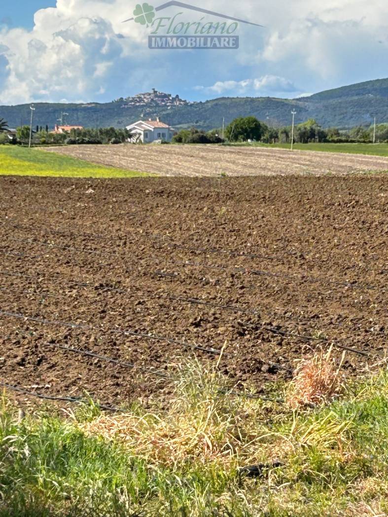 Terreno