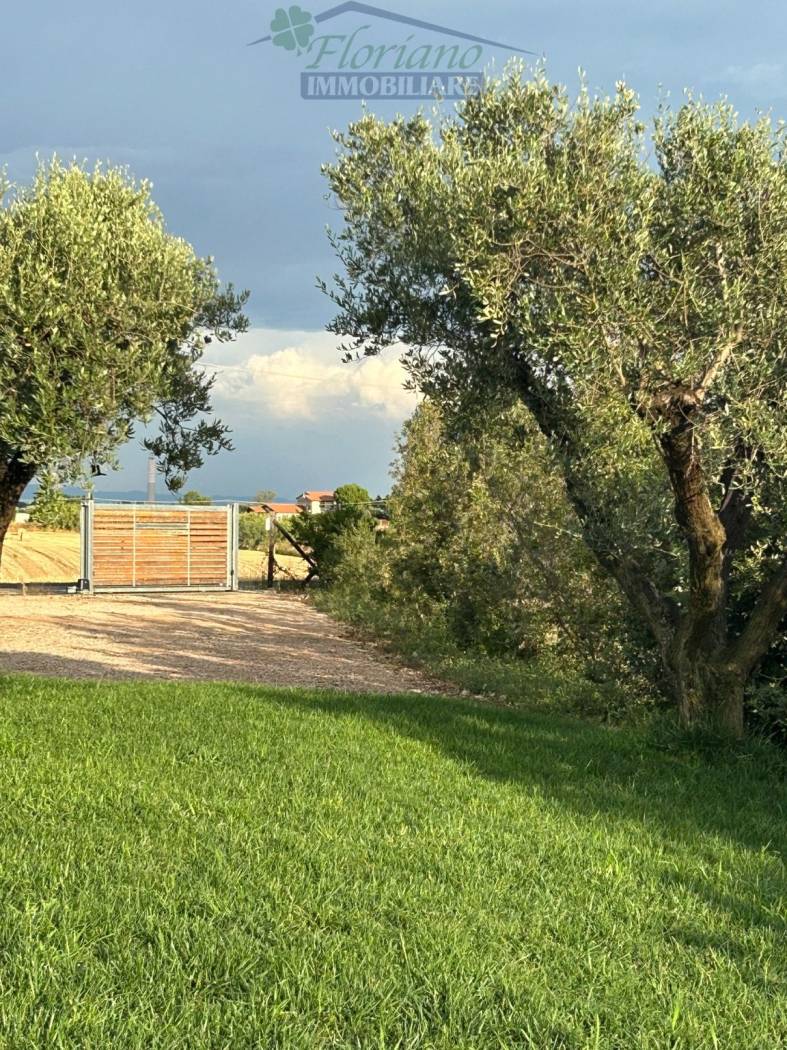 Terreno