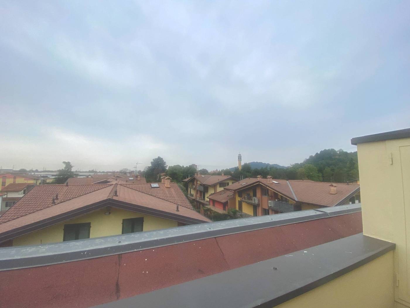 Vista