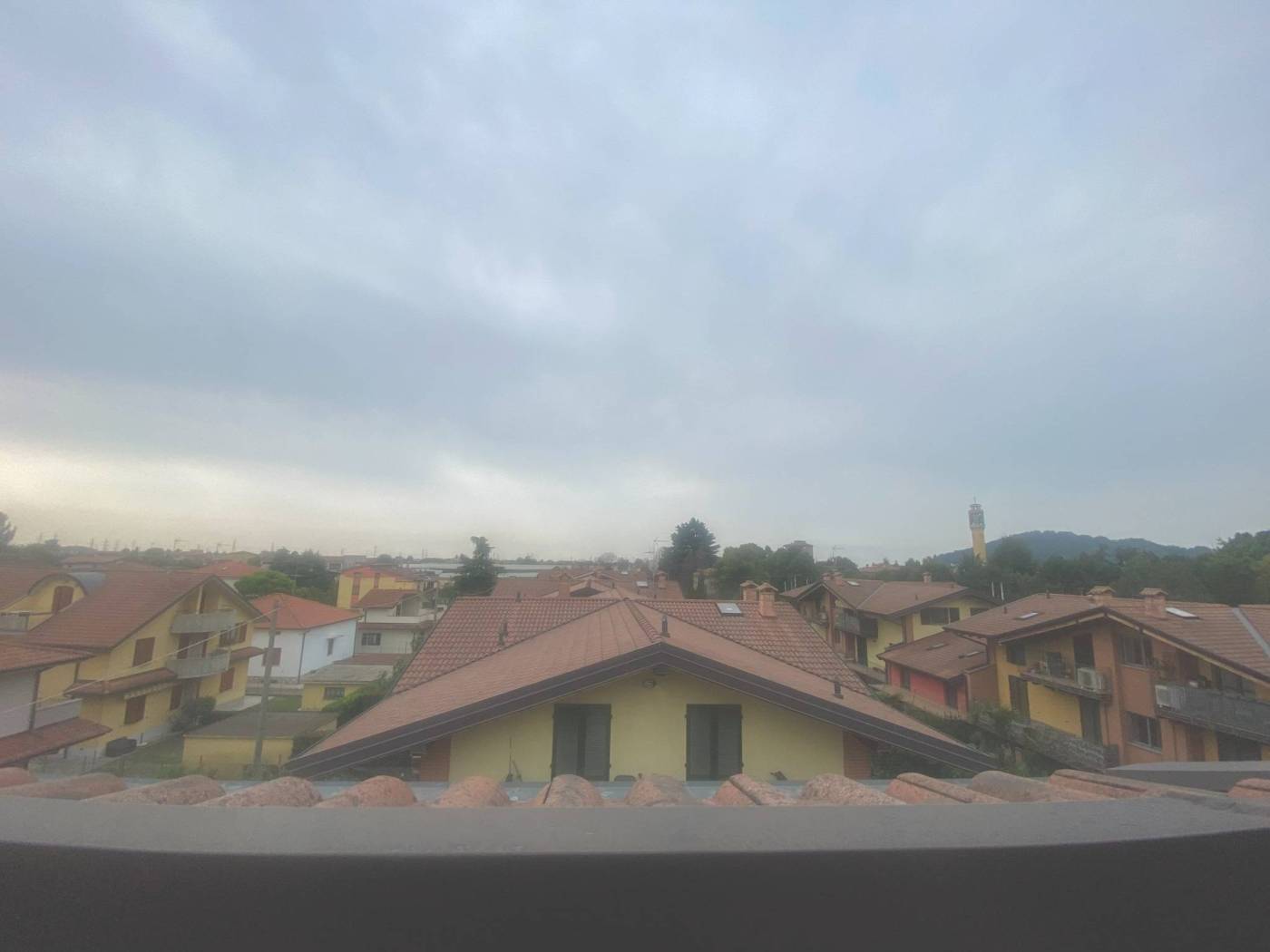 Vista