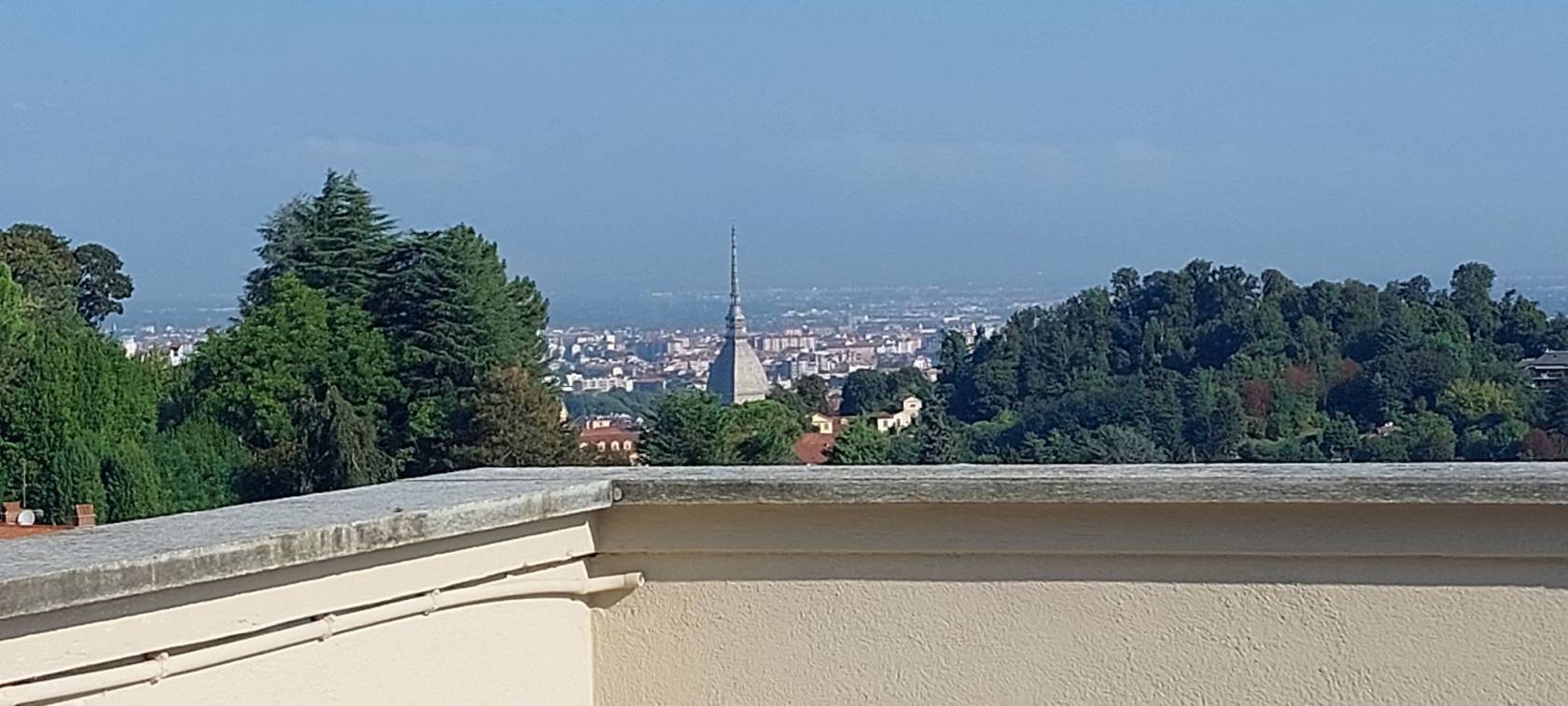 Vista