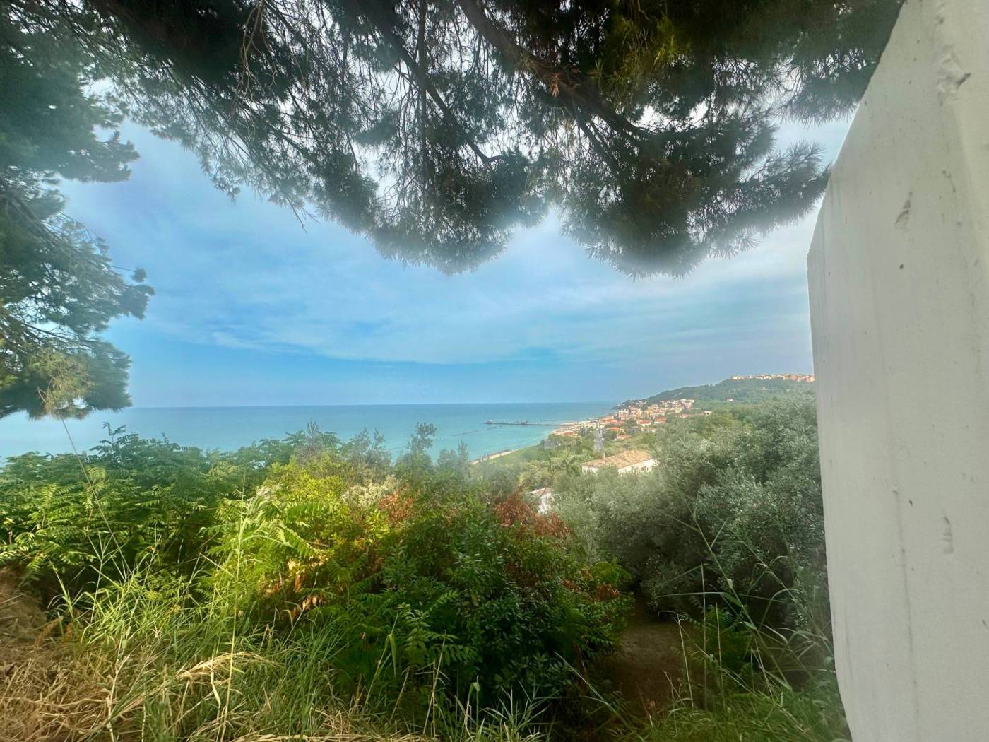 Vista Vista