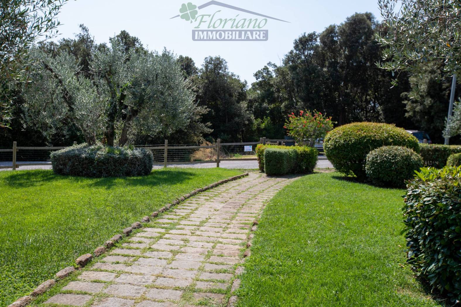 Giardino