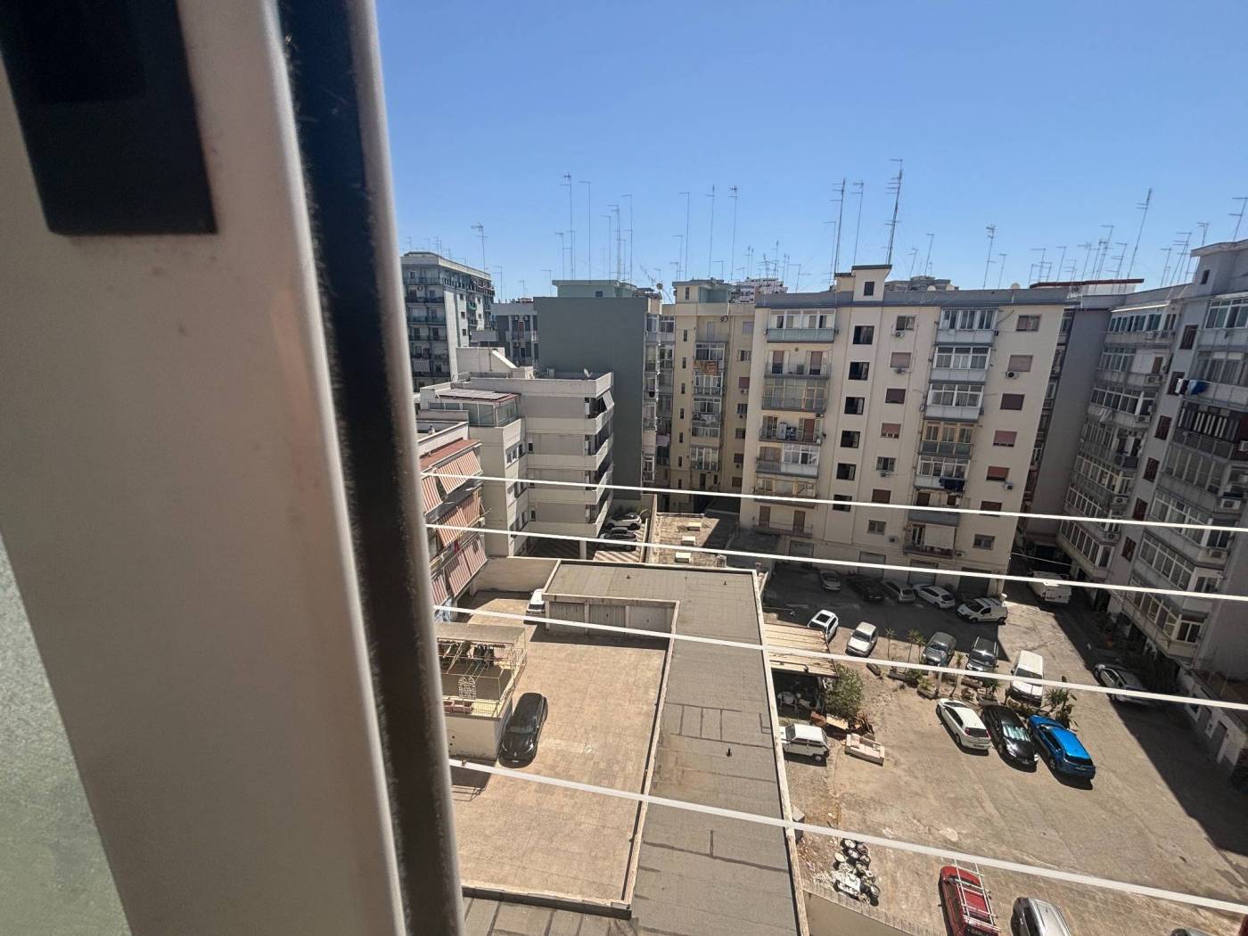 Vista