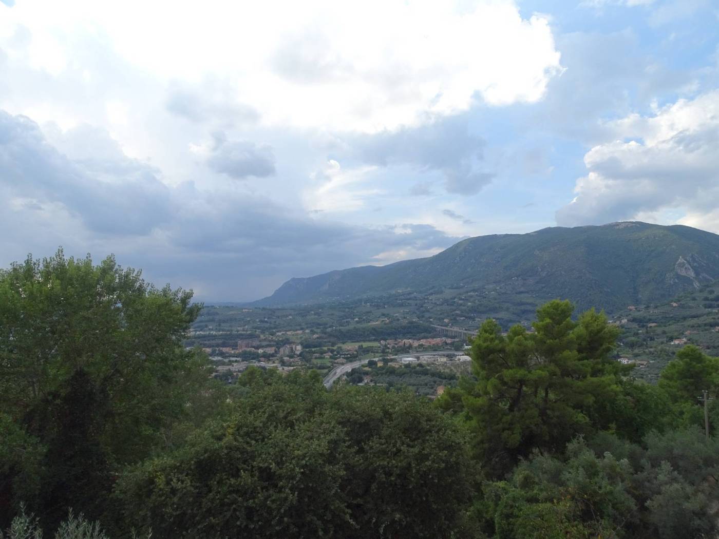 Vista