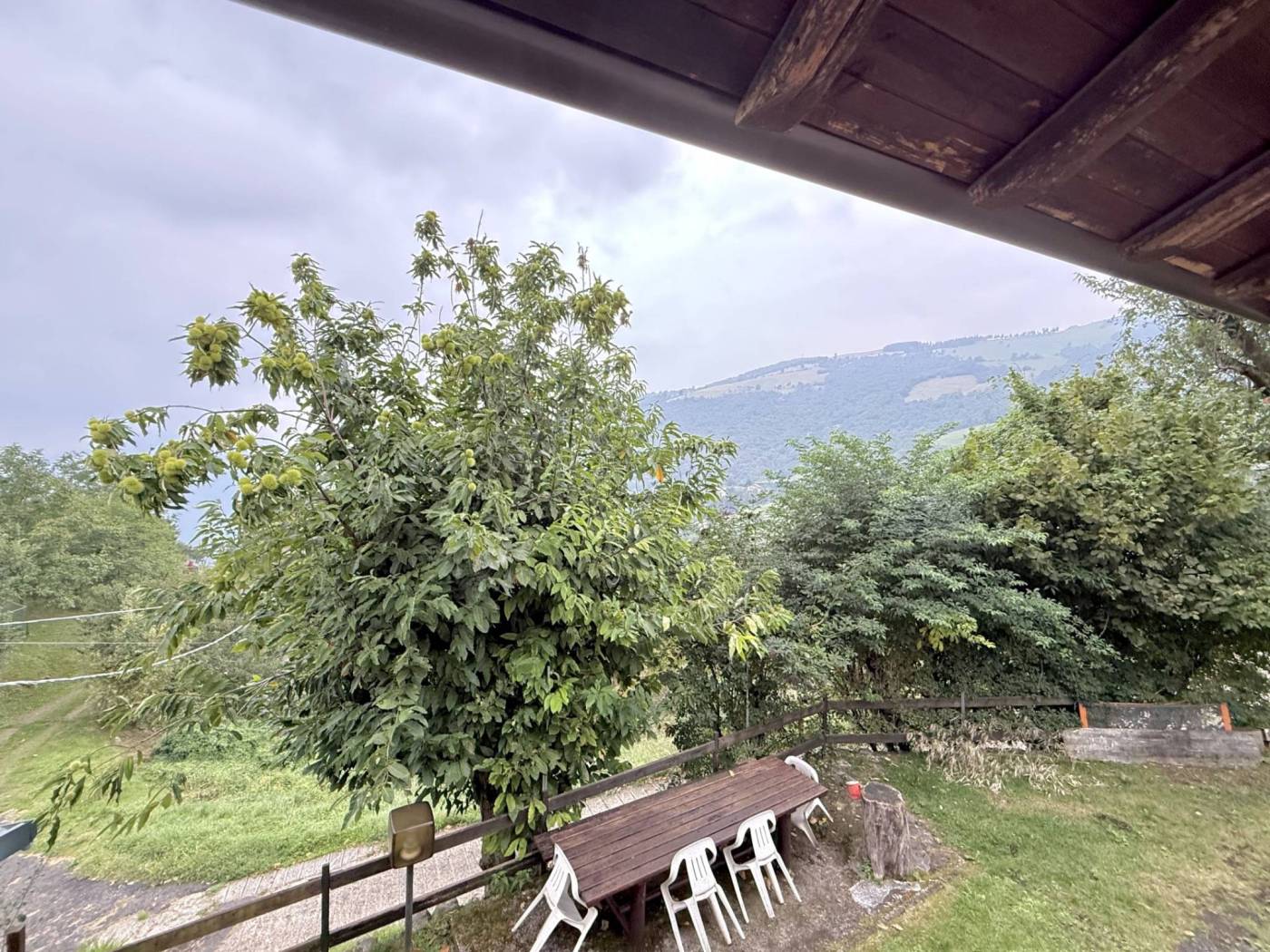 Vista