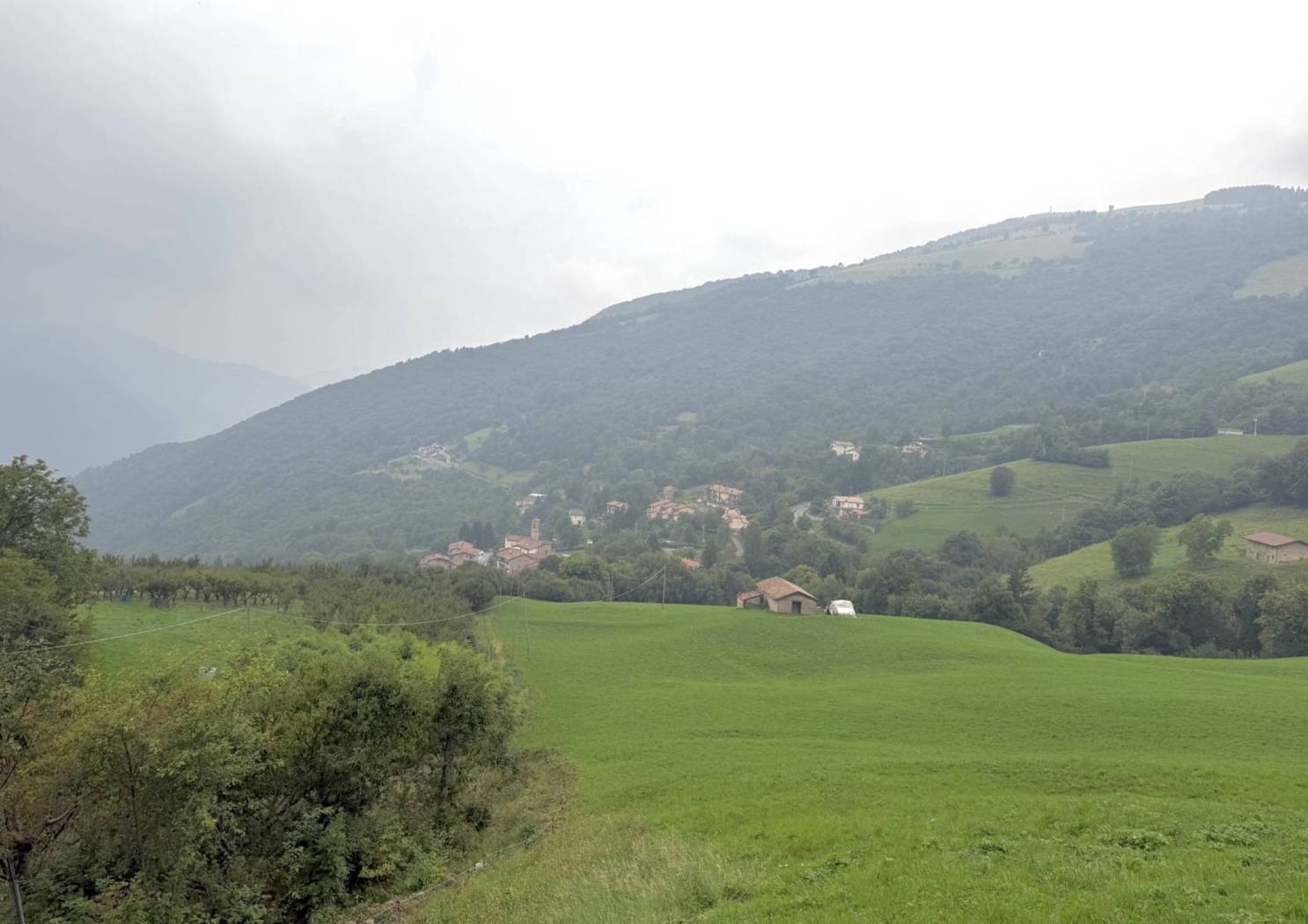 Vista