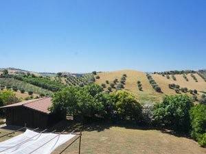 Vista