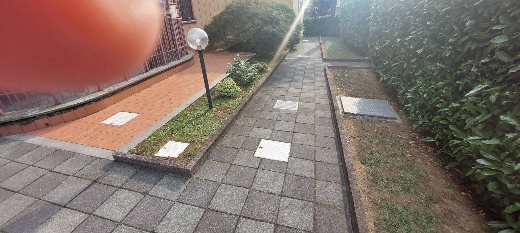 Giardino