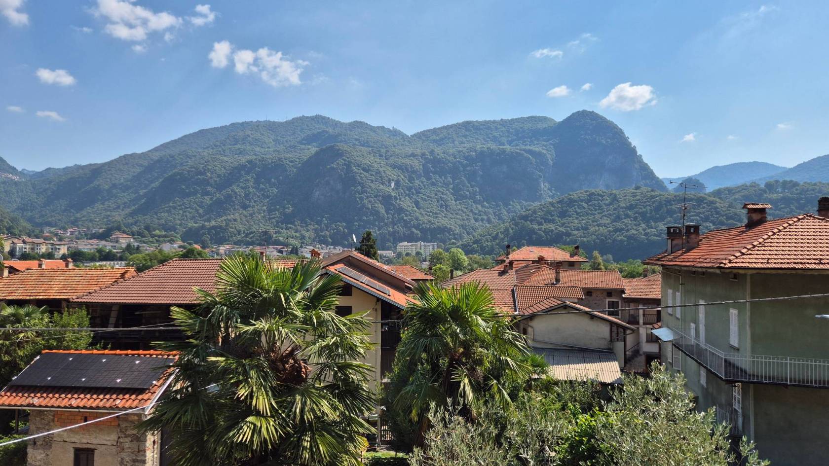 Vista