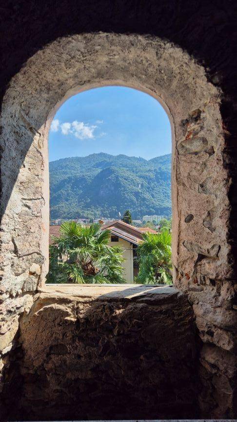 Vista