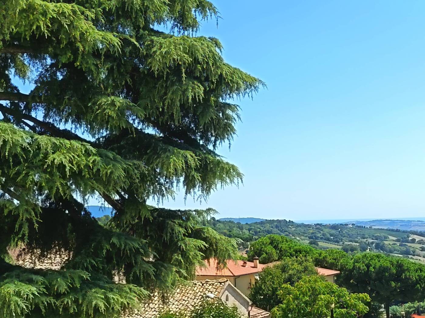 Vista