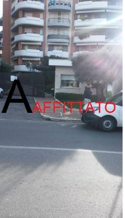 Zona