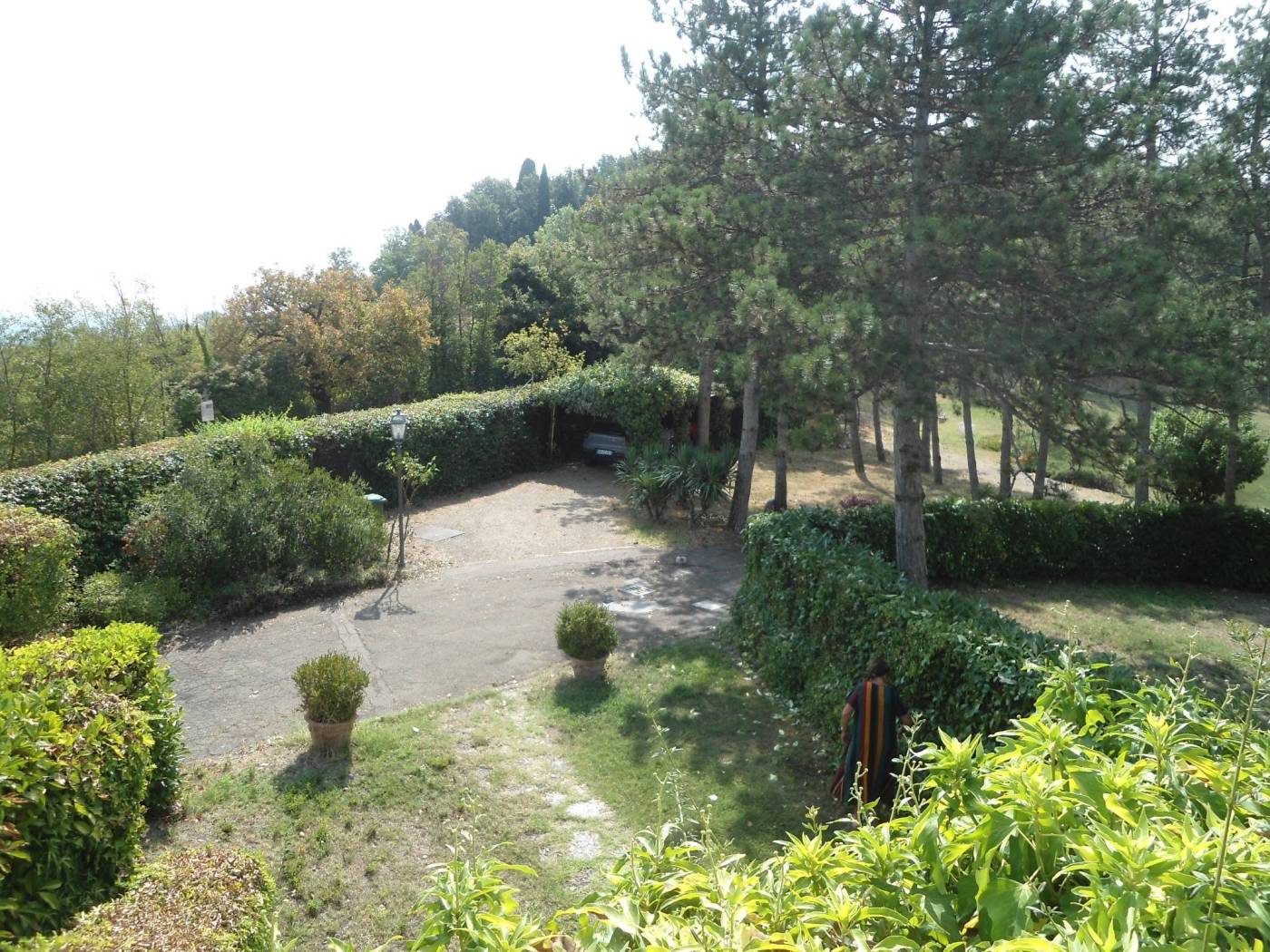 Giardino